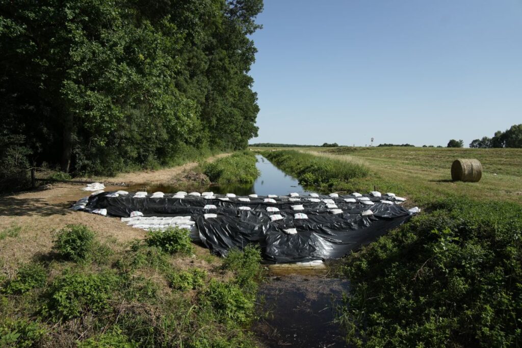 Emberi beavatkozások vezettek a Pátkai-víztározó ökológiai válságához