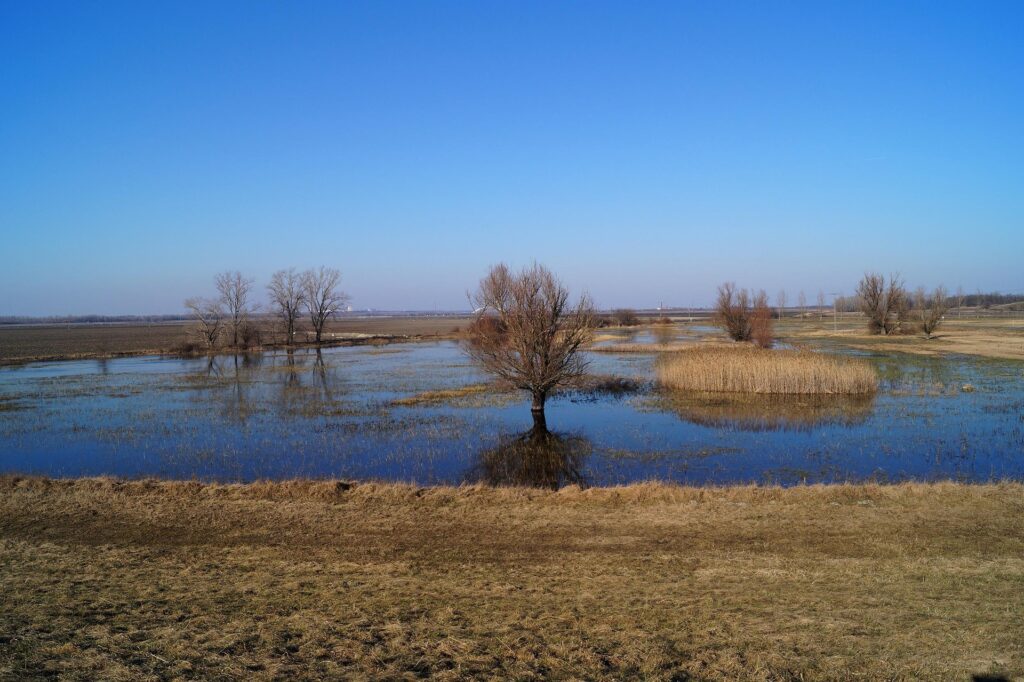 Kenyérbogarak a könyvtárban: a klímaváltozás váratlan jelei Pannonhalmán