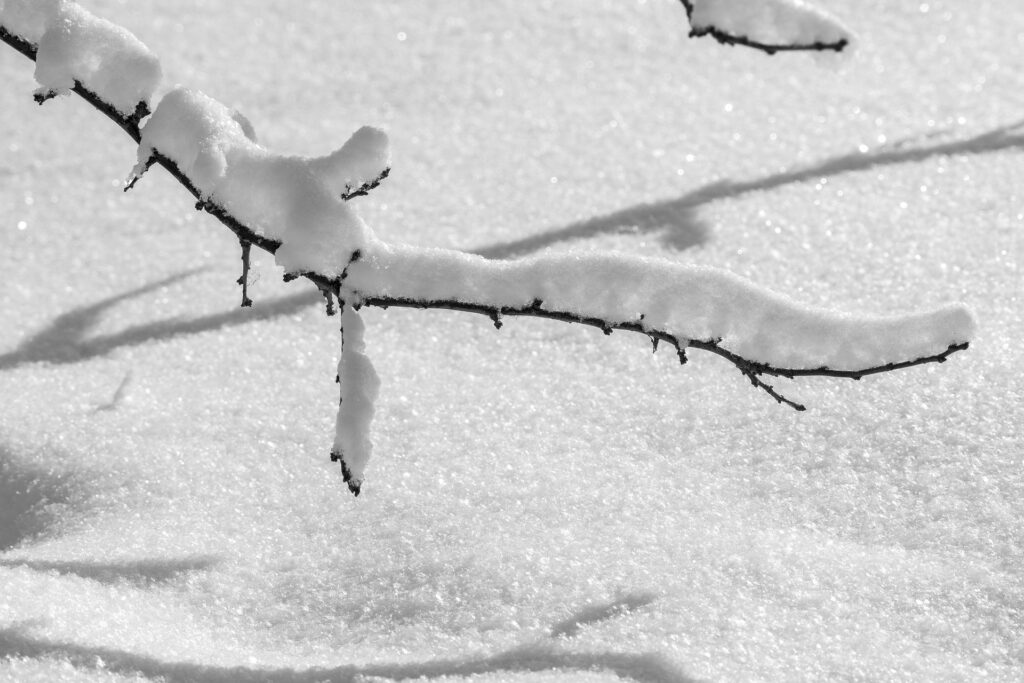 Újabb segítséget kapnak a tavaszi fagy által sújtott gazdálkodók