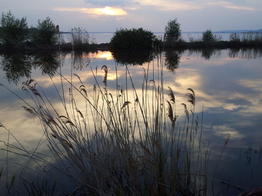 Egyedülálló energetikai adatbázist hozott létre a Balaton Fejlesztési Tanács