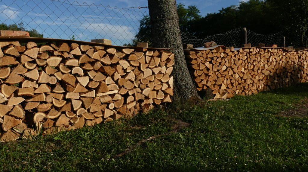 Kevesebb fát égetnének el fenntarthatóbb biomassza-felhasználással